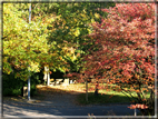 foto Parco Wilhelmshöhe in Autunno